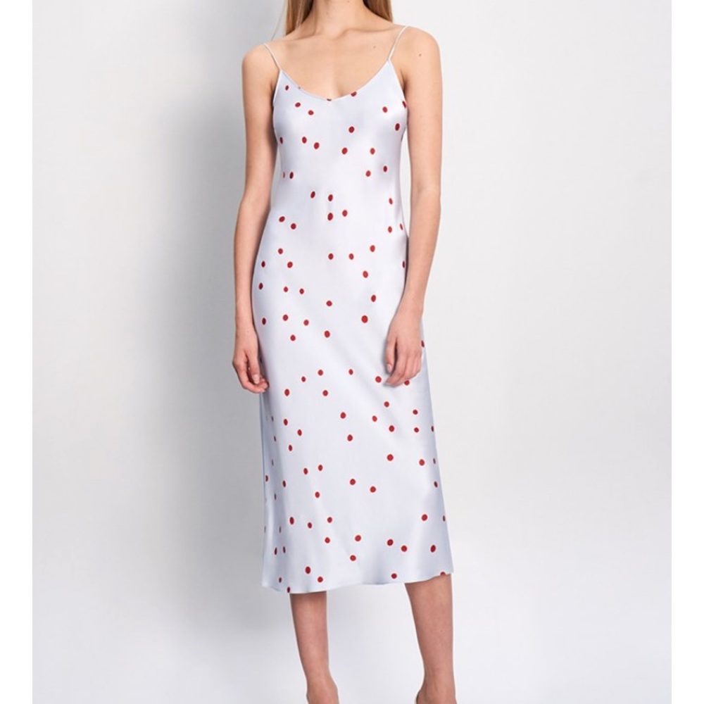 NWT Bias “The How to Polka” Silk Dress